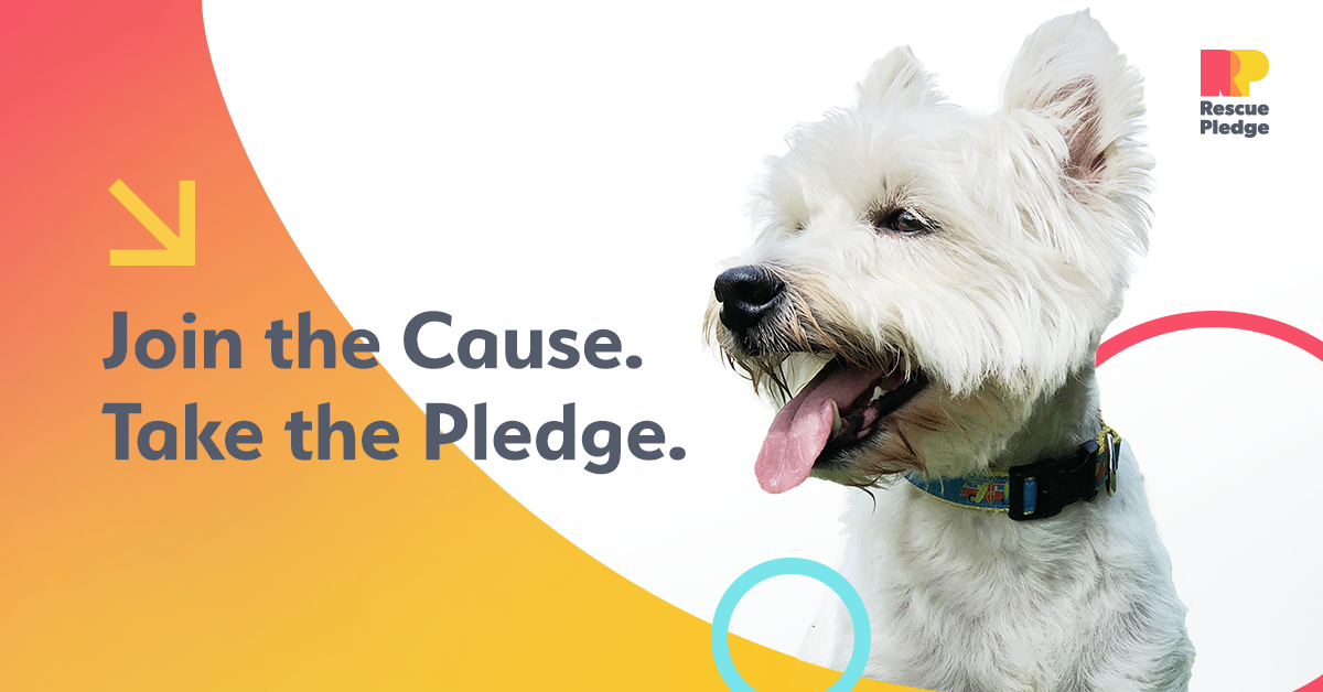(c) Rescuepledge.org